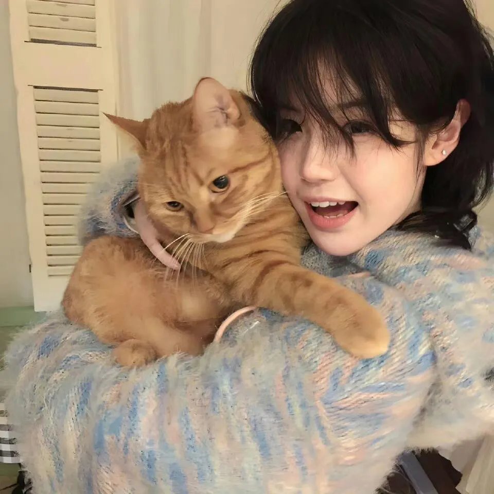 功能失常的猫
