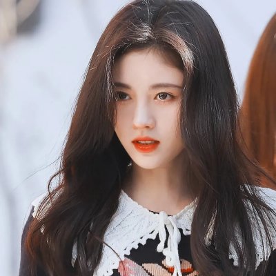 地球上的生灵